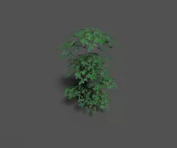 low poly forest tree Low-poly  3D model