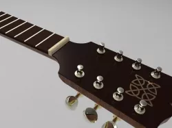 Mandolin Neck