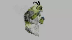 MMA bee 3D model