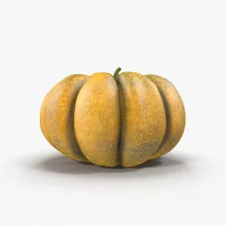 Pumpkin 3D model