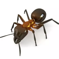 Red Ant 3D model