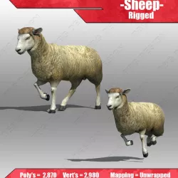 Sheep 3D model
