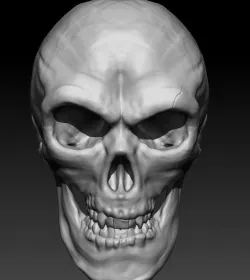 Skull 3D model