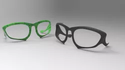 Sunglass