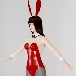  T pose nonrigged model of Akari in bunny outfit  3D model