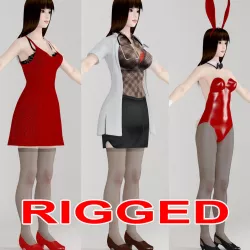 T pose rigged model of Akari with various outfit 3D model