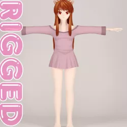 T pose rigged model of Horo 3D model