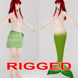 T pose rigged model of little mermaid and human form 3D model