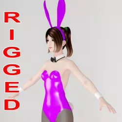 T pose rigged model of Natsumi in bunny outfit 3D model
