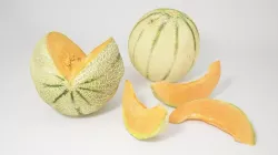 VP Cantaloupe melon 3D model