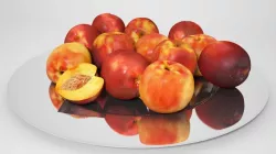 VP Nectarines 3D model