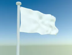 Waving flag with pole 3D model