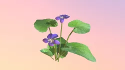 Accepted: LowPoly Blue Violet (Viola sororia)