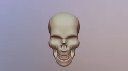 Advanced Skull