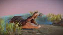Alligator