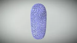 Bean