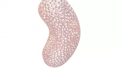 Bean Voro