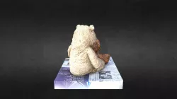 Bears Second Attempt