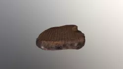 Calamite HR