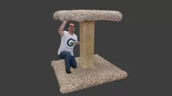 Cat Tree Preparations
