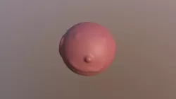 colors