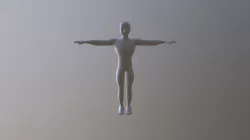 cuerpo