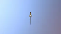 Dagger