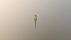 Dagger