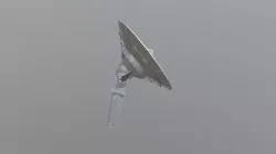 Dish