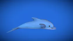 Dolphin