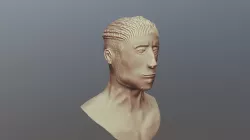 Face try