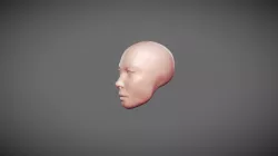 Female Head Sculpt - March 1