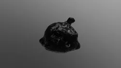 Garbage Bag