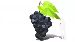 Grape