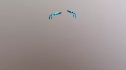 hands