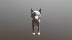 Husky Puppy