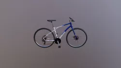 Hybrid Bicycle