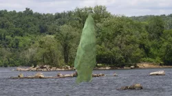 Late Archaic Period Projectile Point