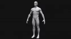 Male Base Model
