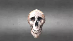 McGrath Skull