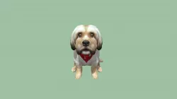 Merged Barry 7