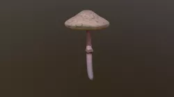 Mushroom