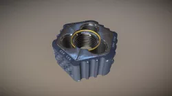 Nut