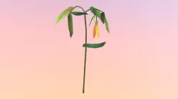 Pending:LowPoly Bellwort (Uvularia grandiflora)