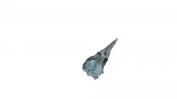 Peng Skull 01