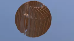 Plam Nut