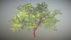 Realistic Tree