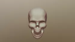 Simple Skull