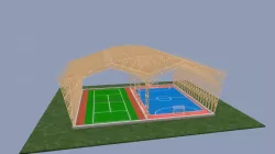 Sport