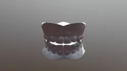 Teeth